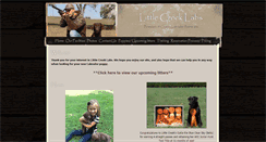 Desktop Screenshot of littlecreeklabs.com